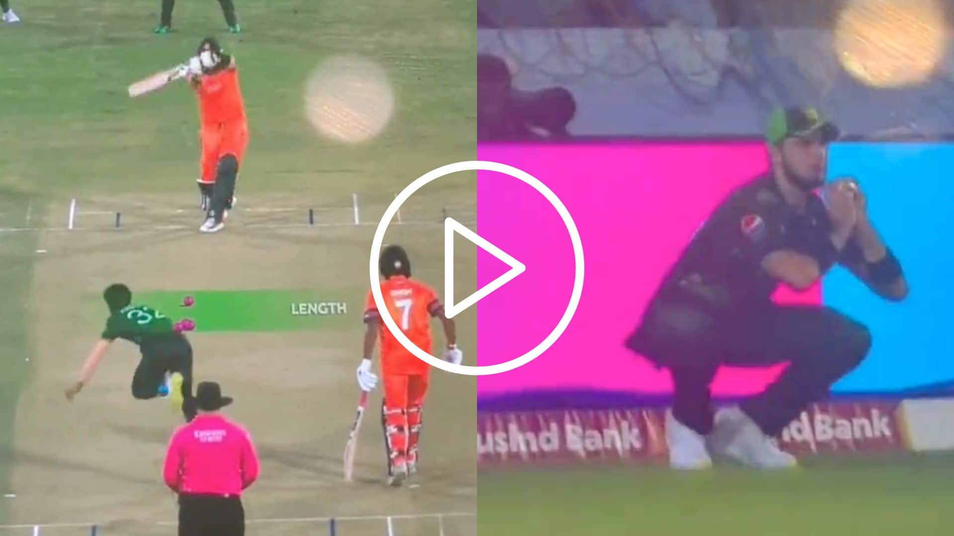 [Watch] Shaheen Afridi-Hasan Ali Combine; Pakistan Bag First World Cup 2023 Wicket